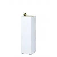 cardboard plinth white
