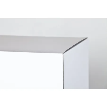 cardboard plinth white