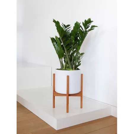 Window display plinth, white