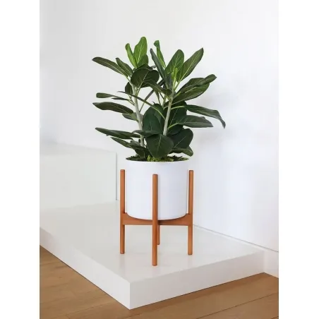 Window display plinth, black