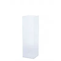 Acrylic Plinth