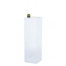 Acrylic Plinth