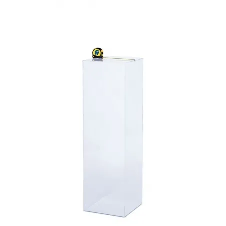 Acrylic Plinth