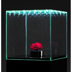 Glass Display Case with Integrated LEDs and a Door