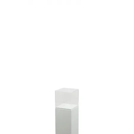Acrylic Display Case