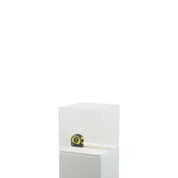 Acrylic Display Case