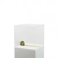 Acrylic Display Case