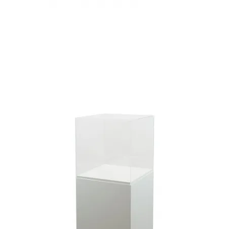 Acrylic Display Case