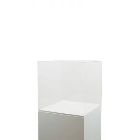 Acrylic Display Case