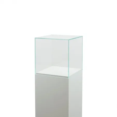 Glass Display Case