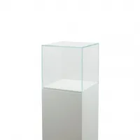 Glass Display Case