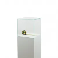 Glass Display Case