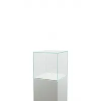 Glass Display Case