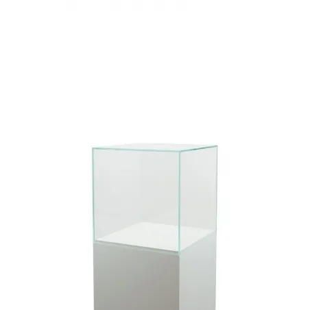 Glass Display Case