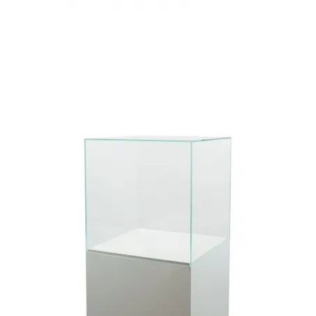 Glass Display Case
