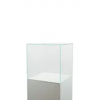 Glass Display Case