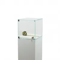 Glass Display Case with a Door