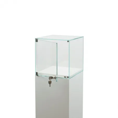 Glass Display Case with a Door