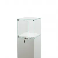 Glass Display Case with a Door
