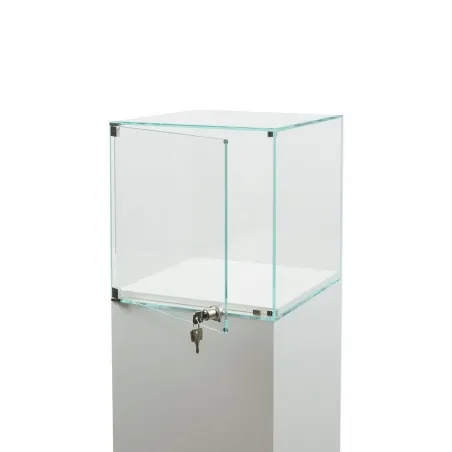 Glass Display Case with a Door