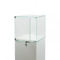 Glass Display Case with a Door