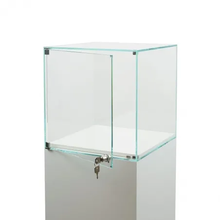 Glass Display Case with a Door