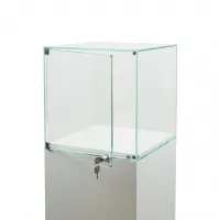 Glass Display Case with a Door