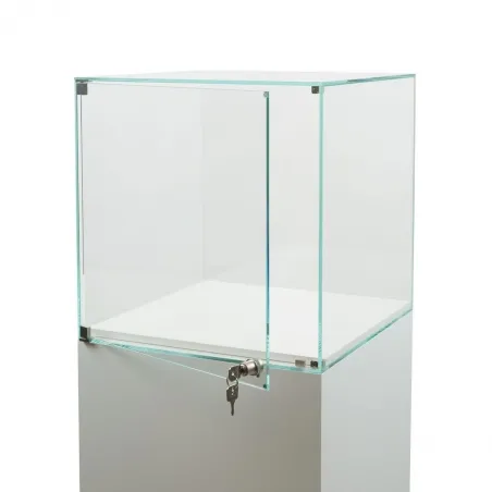 Glass Display Case with a Door