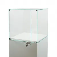 Glass Display Case with a Door