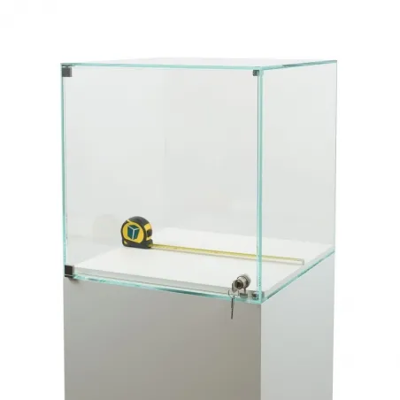 Glass Display Case with a Door