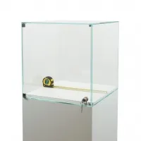 Glass Display Case with a Door