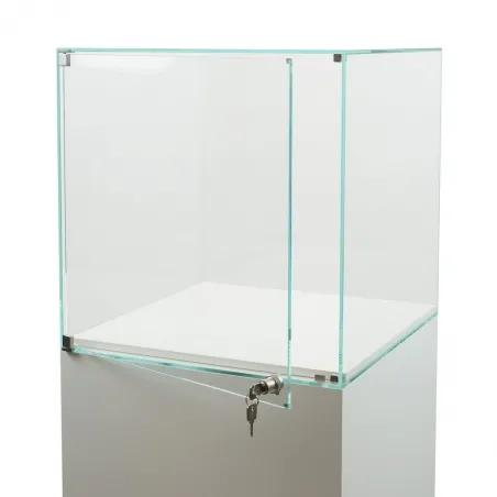 Glass Display Case with a Door