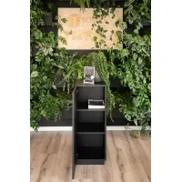 Black Oak Veneer Cabinet plinth