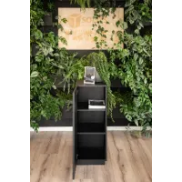 Black Oak Veneer Cabinet plinth