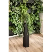 Hexagon plinth, black
