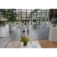 cardboard plinth white