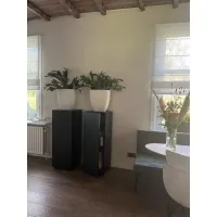 Black Oak Veneer Cabinet plinth