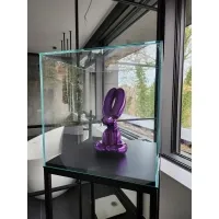 Glass Display Case