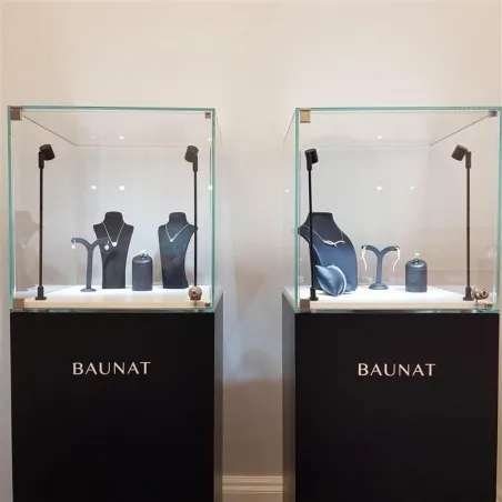 Glass Display Case with a Door