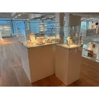 Glass Display Case with a Door