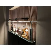 Glass Display Case with a Door