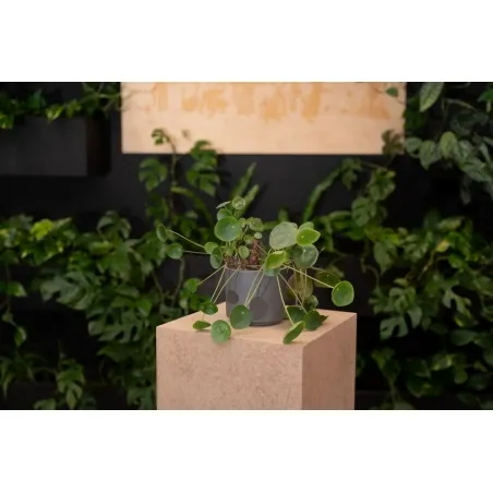 Plain MDF pedestal | exhition plinth unpainted