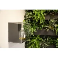 Wall Display Bastia