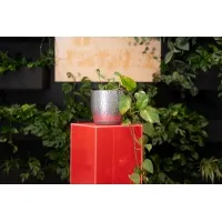 Acrylic Plinth