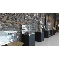 Glass Display Case with a Door