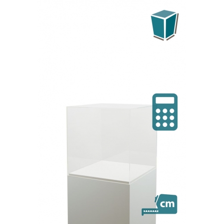 Acrylic Display Case Acrylic Display Case