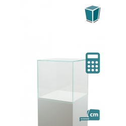 Glass Display Case