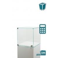 Glass Display Case with a Door