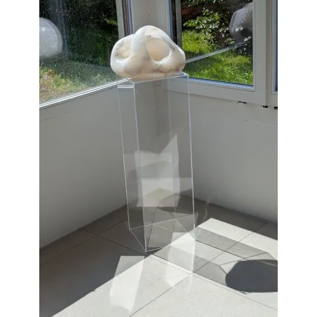 Acrylic Plinth