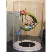 Acrylic Display Case, Round
